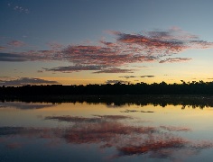 Un equipo científico en el que participa el investigador Jorge Enrique García Melo, de la Universidad de Ibagué, llevó a cabo la segunda caracterización de peces en la Estrella Fluvial Inírida (EFI).