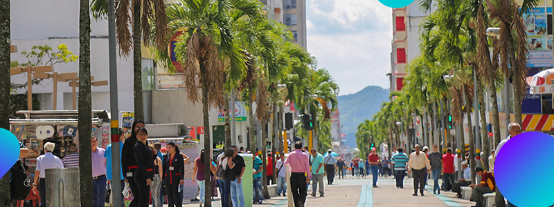 Imagen Ibagué Cómo Vamos